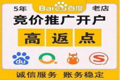 SEM托管服务实战案例：打造高效广告投放策略